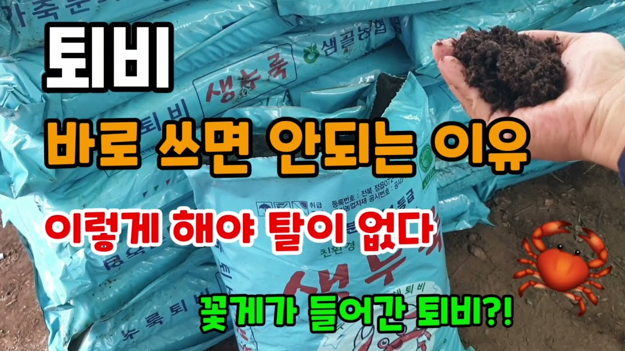 내년 거름 준비 퇴비 바로 쓰면 안되는 이유 이렇게 해야 탈이 없다 꽃게가 들어간 퇴비 생누룩퇴비