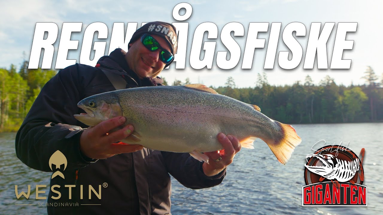 Sommarfiske efter regnbåge med Sportfiskegiganten och Jörgen Larsson!