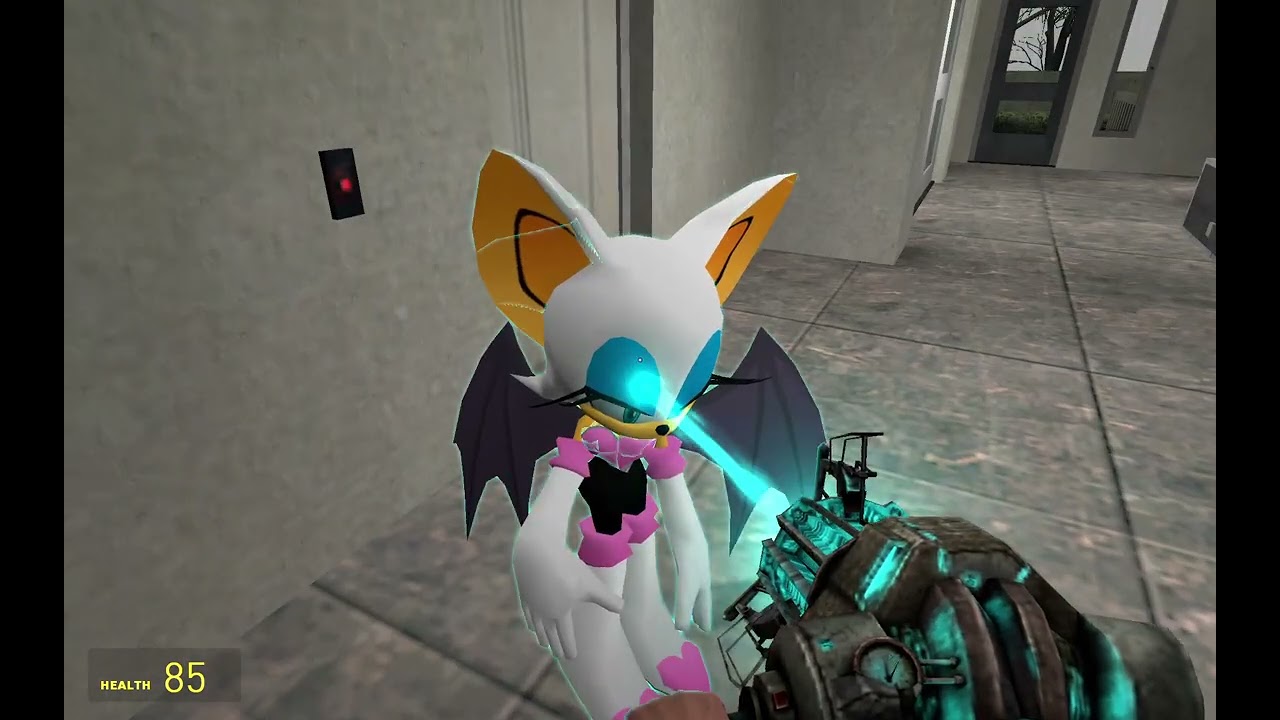 ZOMBIES ATTACKS SONIC AND HIS FREINDS  #gmod