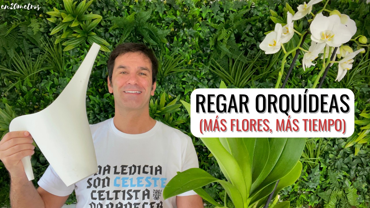 C&oacute;mo REGAR ORQU&Iacute;DEAS correctamente || en20metros