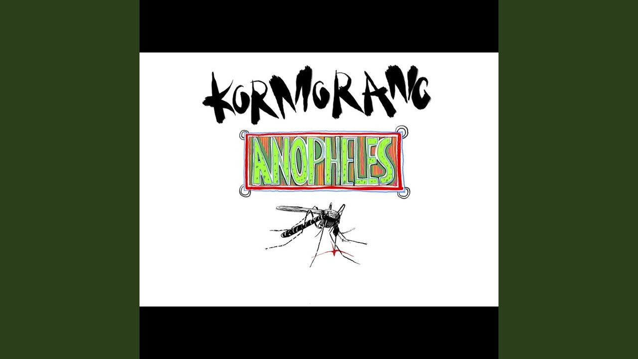 Anopheles