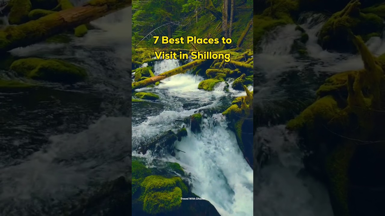 7 Best Places to Visit in Shillong #travel #shorts #shillong