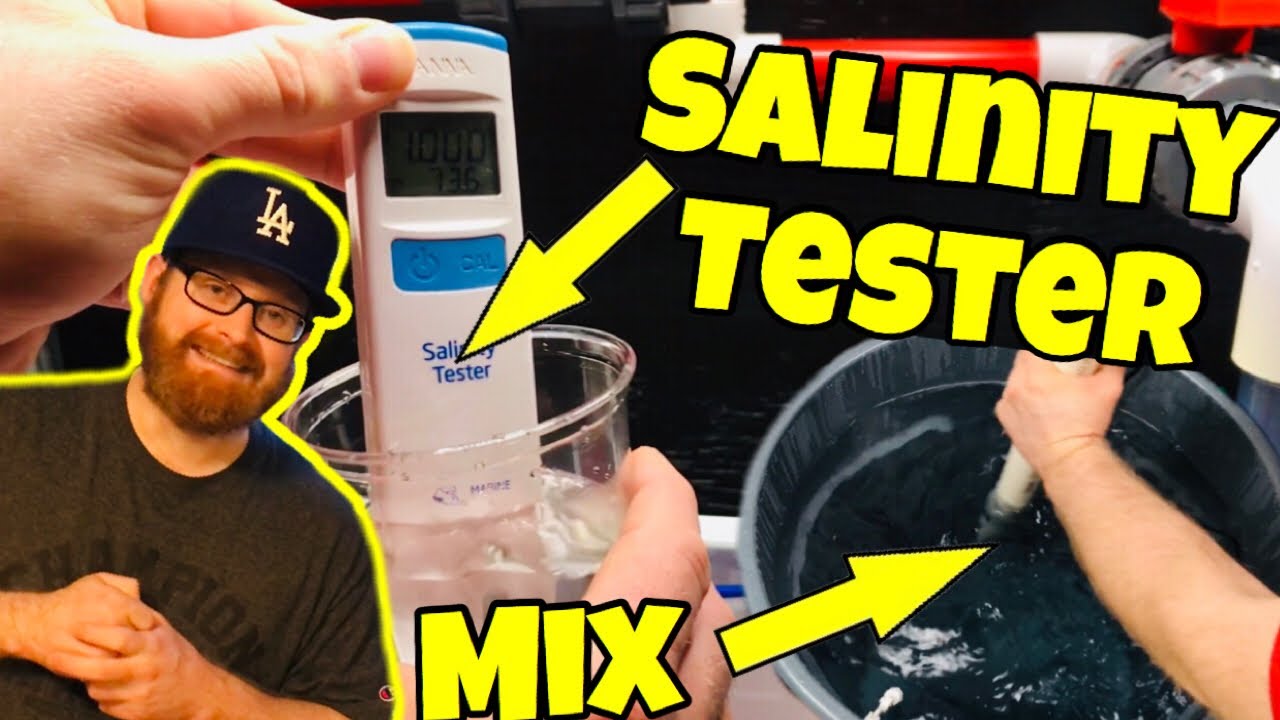 Making Saltwater and Testing its Salinity (Did I Succeed?)
