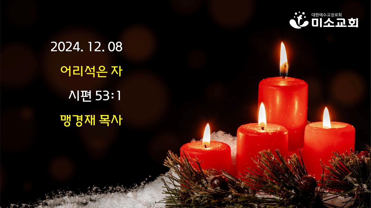 어리석은 자