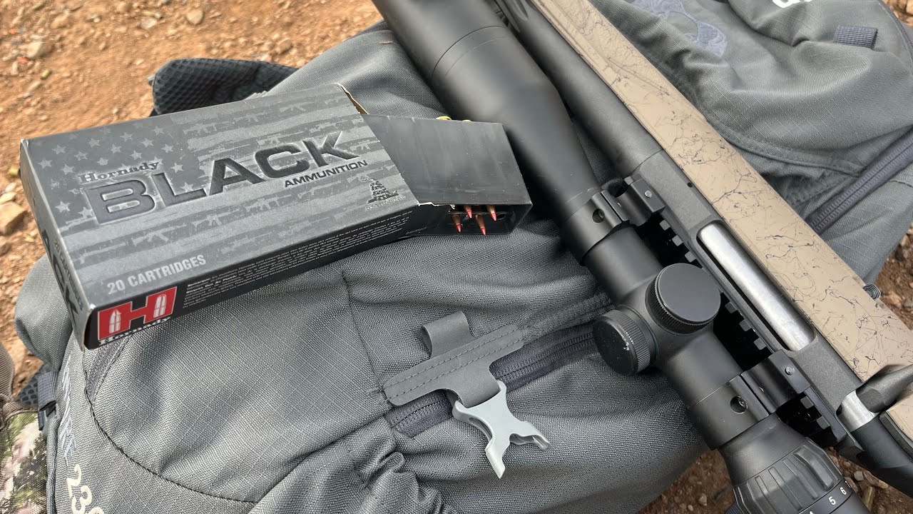 22 ARC — от Bench to Field — TAC и LeverEvolution с пулями Hornady — винтовка Ruger American Ranc...