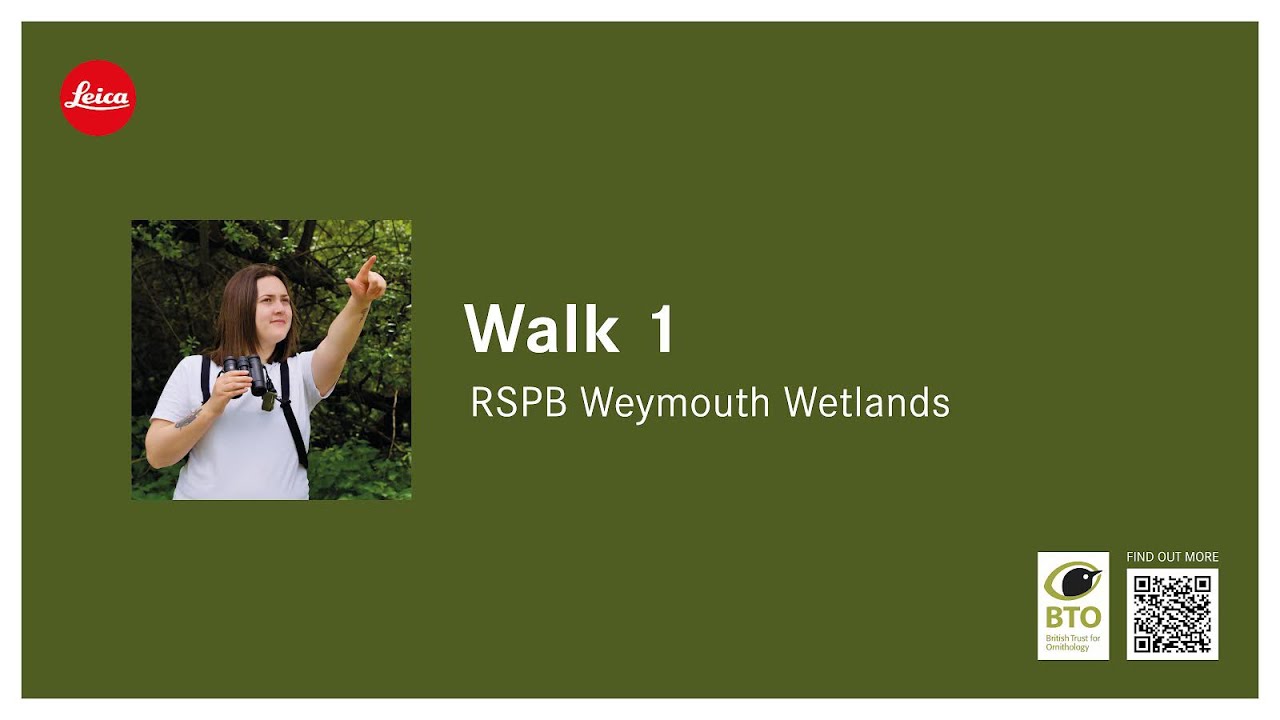 Walk 1 of my ‘21 Wildlife Walks’ - Visiting the RSPB Weymouth Wetlands (Radipole and Lodmoor)! 🦆