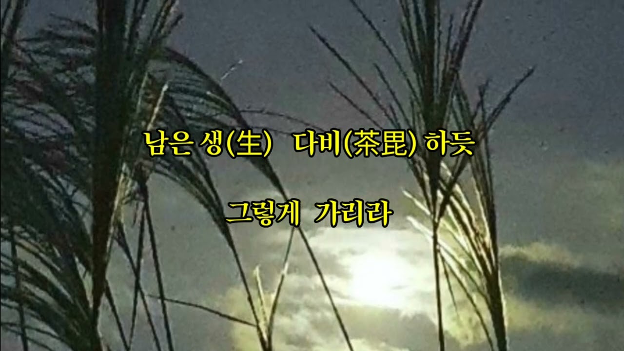                이영도 詩.    [그렇게 가리라]