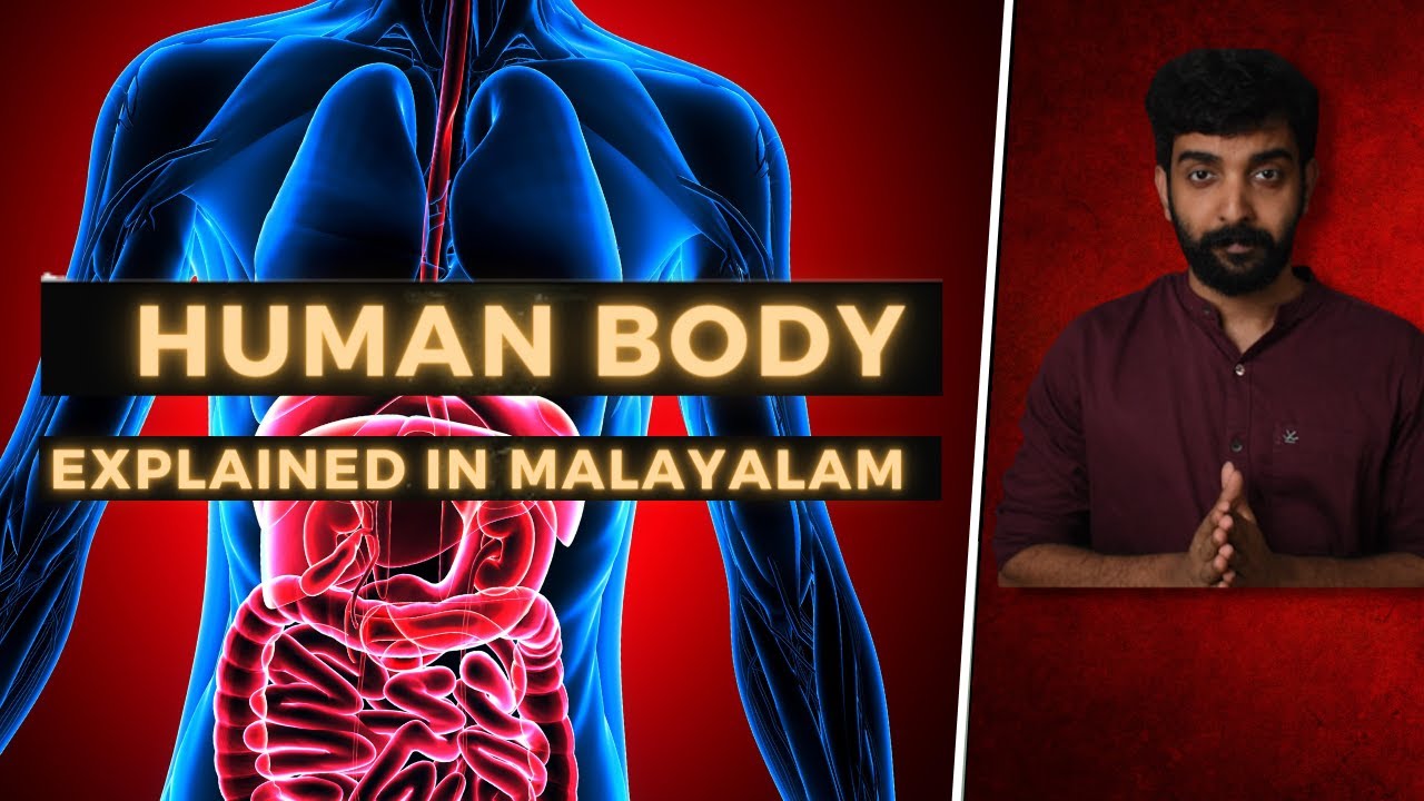 Human Body | Explained in Malayalam