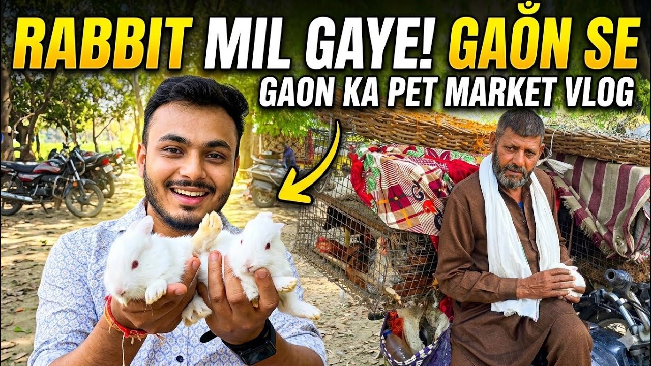 Rabbit 😍 lene gaon aa gaye | Gaon ka pet market