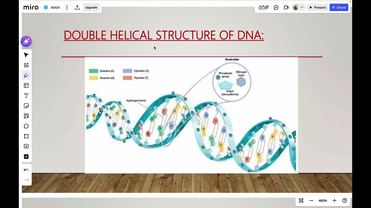 DNA Repair | CUET-PG | Life Sciences