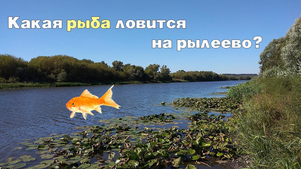 Рыбалка на Малышевском озере