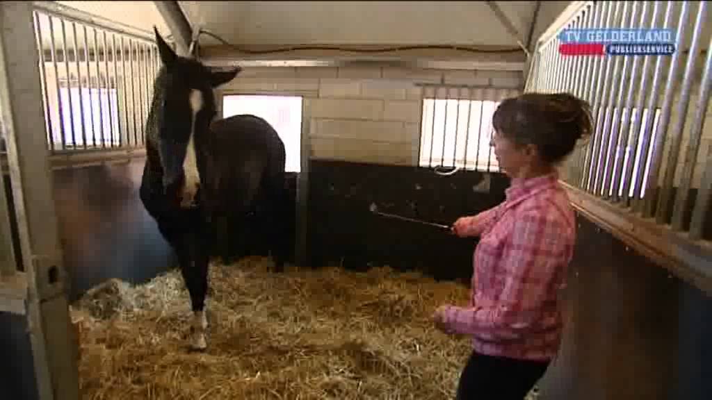 Doreen Proos lost voernijd probleem op bij paard op TV Gelderland