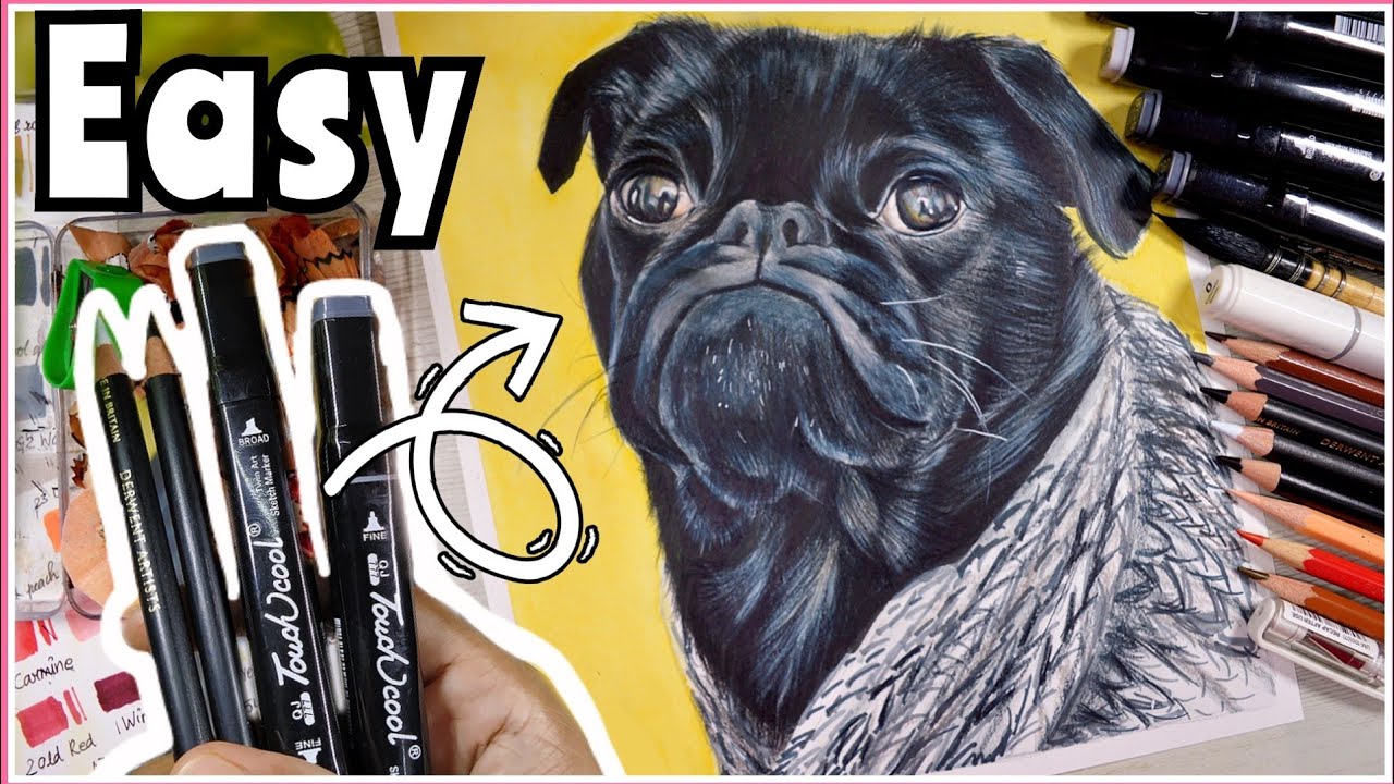MARKER + COLOR PENCILS /HOW TO DRAW REALISTIC BLACK FUR |how to draw a dog with colored pencils