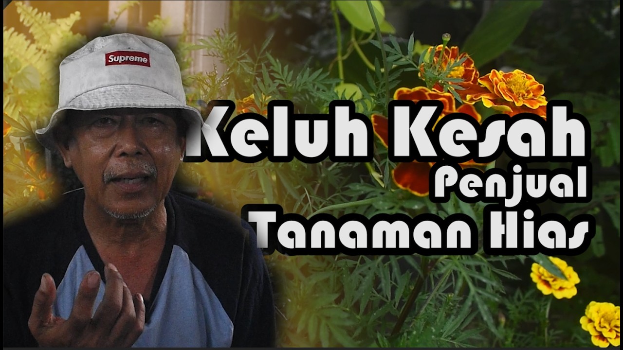 Keluh Kesah Penjual Tanaman Hias