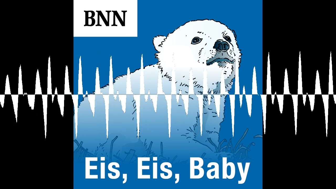 Eisbär Kap im Fokus: Sorgen, Hoffnung und neue Pläne - Eis, Eis, Baby