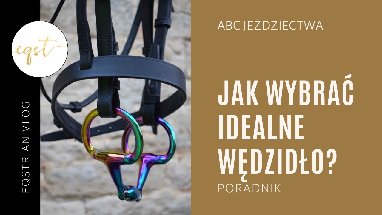 JAK WYBRAĆ IDEALNE WĘDZIDŁO? | Rodzaje i funkcje wędzideł