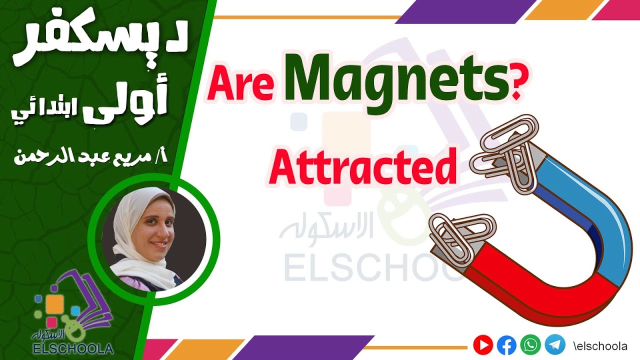 Are Magnets Attracted ?| تجربة المغناطيس | اكتشف الصف الأول الابتدائي | Discover G1 | الاسكوله