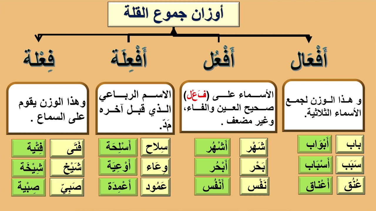 النحو و الصرف   الصف الحادي عشر   جمع التكسير  الجزء الأول  ١٠