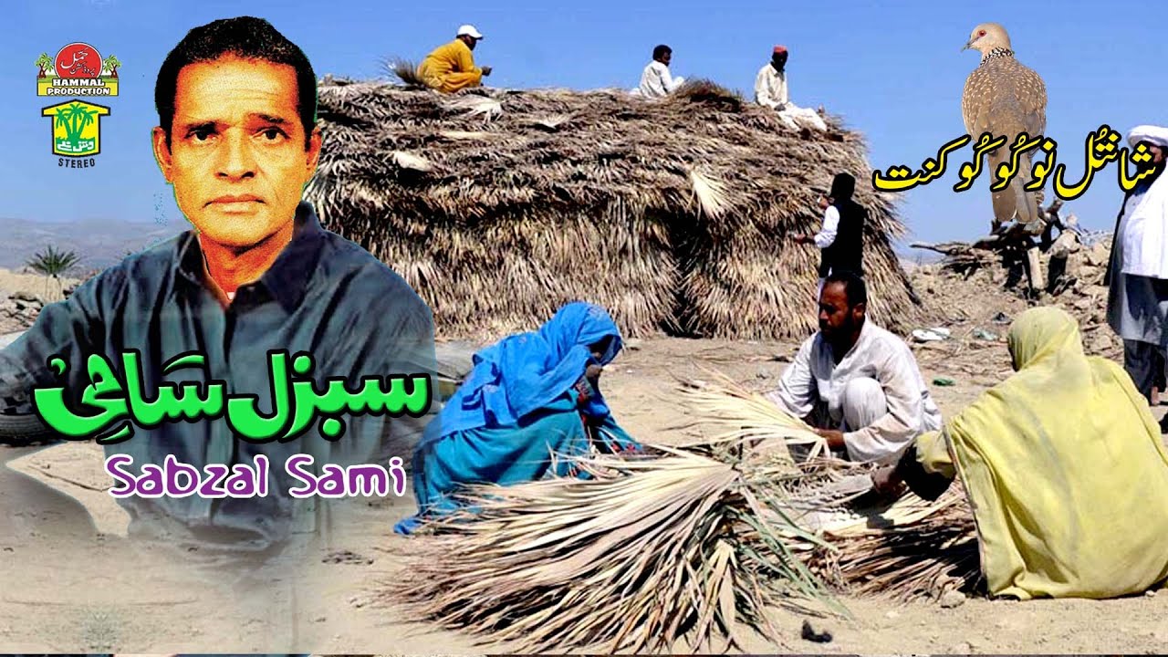 New Balochi Song | SANTOL KOKO KANT MARA ZAHER KANT | SABZAL SAMI  VOL 1586 / Hammal Productions