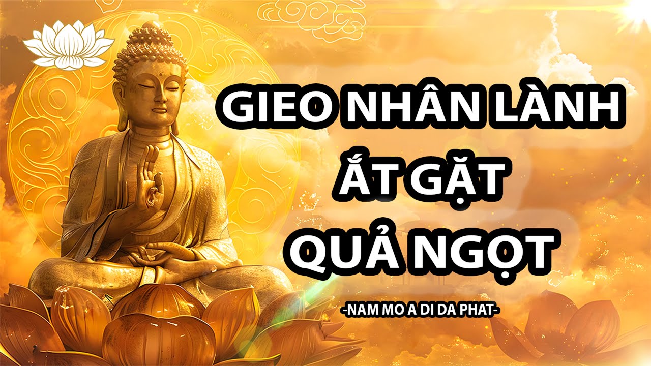 Phước Báu Hiện Tiền - Gieo Nhân Lành Ắt Gặt Quả Ngọt I Thuyết Pháp Phật Giáo Tịnh Tâm Nghe Mỗi Ngày