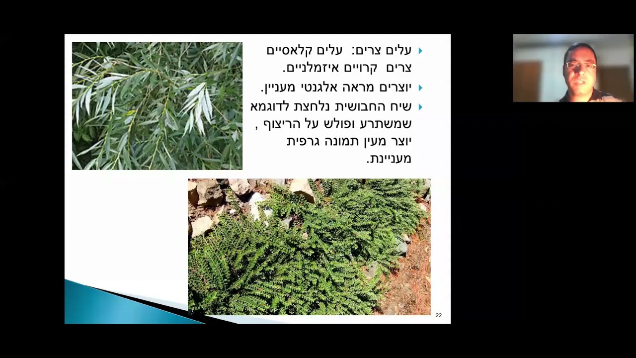 עיצוב הגינה באמצעות צורות צמחים | משה שקלנובסקי | Zoom.גינון | ארגון גננוּת ונוף בישראל