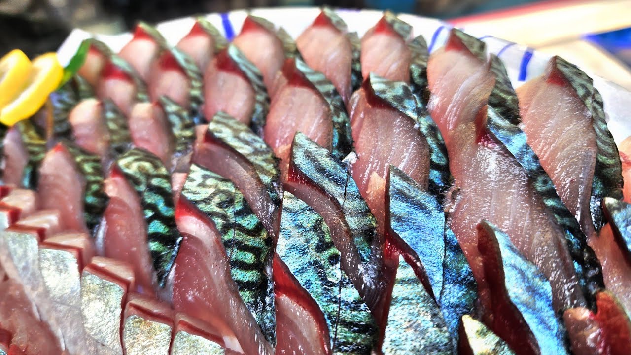 국민생선 활고등어 회뜨기 , mackerel , サバ