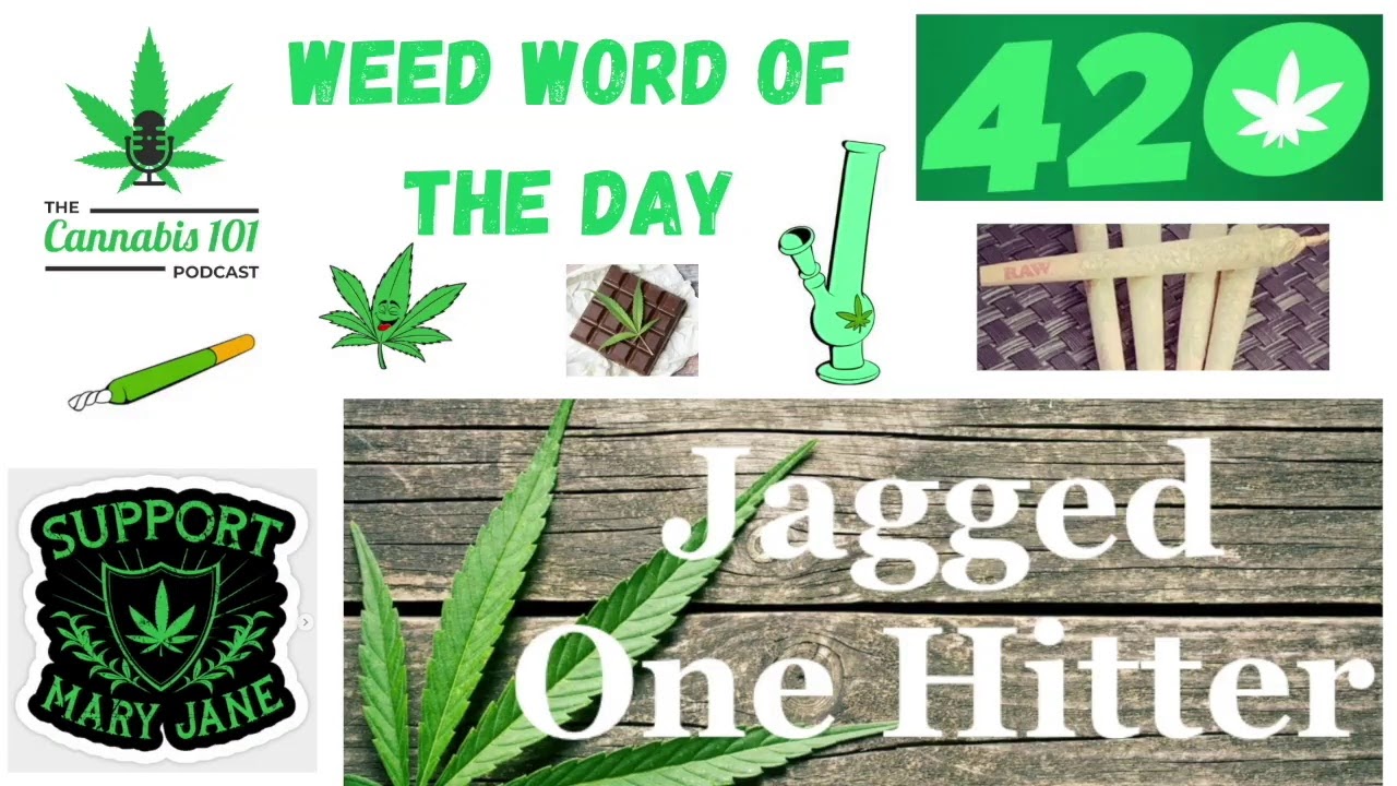 420 Friday Fun - Learn - Laugh - Win from episode 74 of The Cannabis 101 Podcast