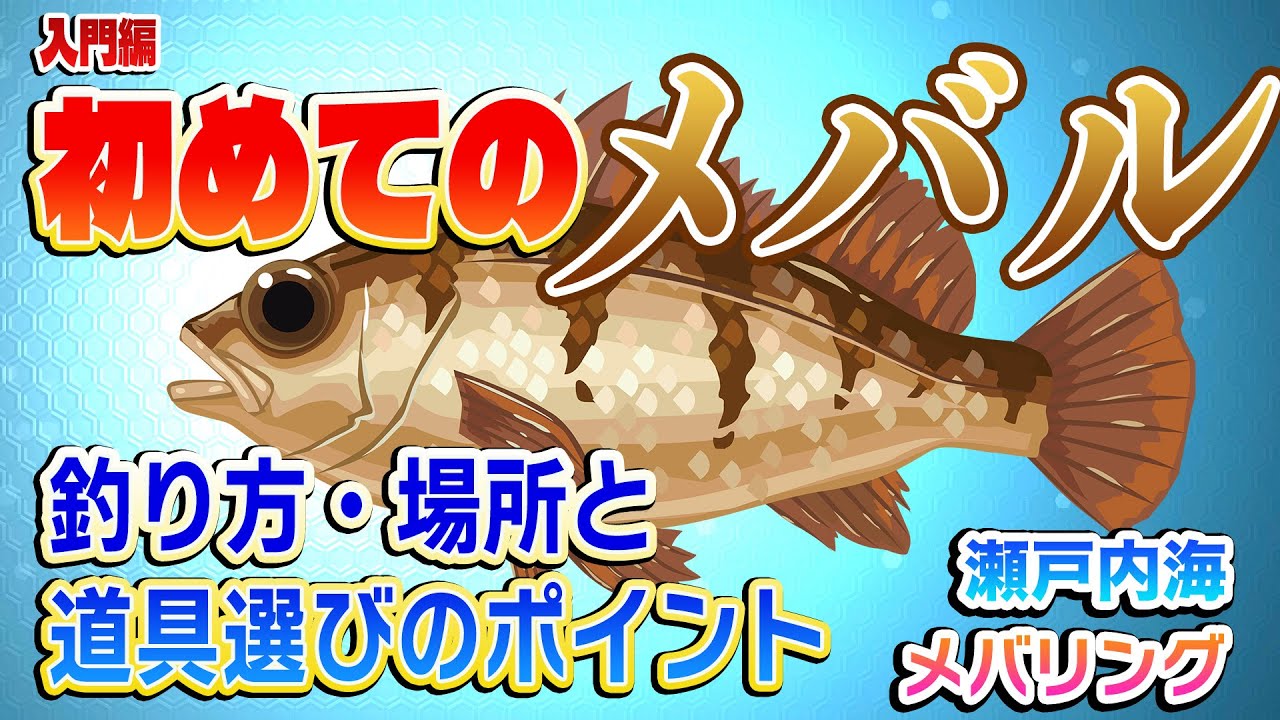 初めての【メバル釣り】失敗しない道具選び【407】　　#メバリング　#メバル釣り　#初めてのメバル釣り