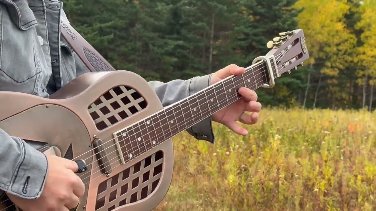 Black Mountain Picks Spring Loaded  Capo