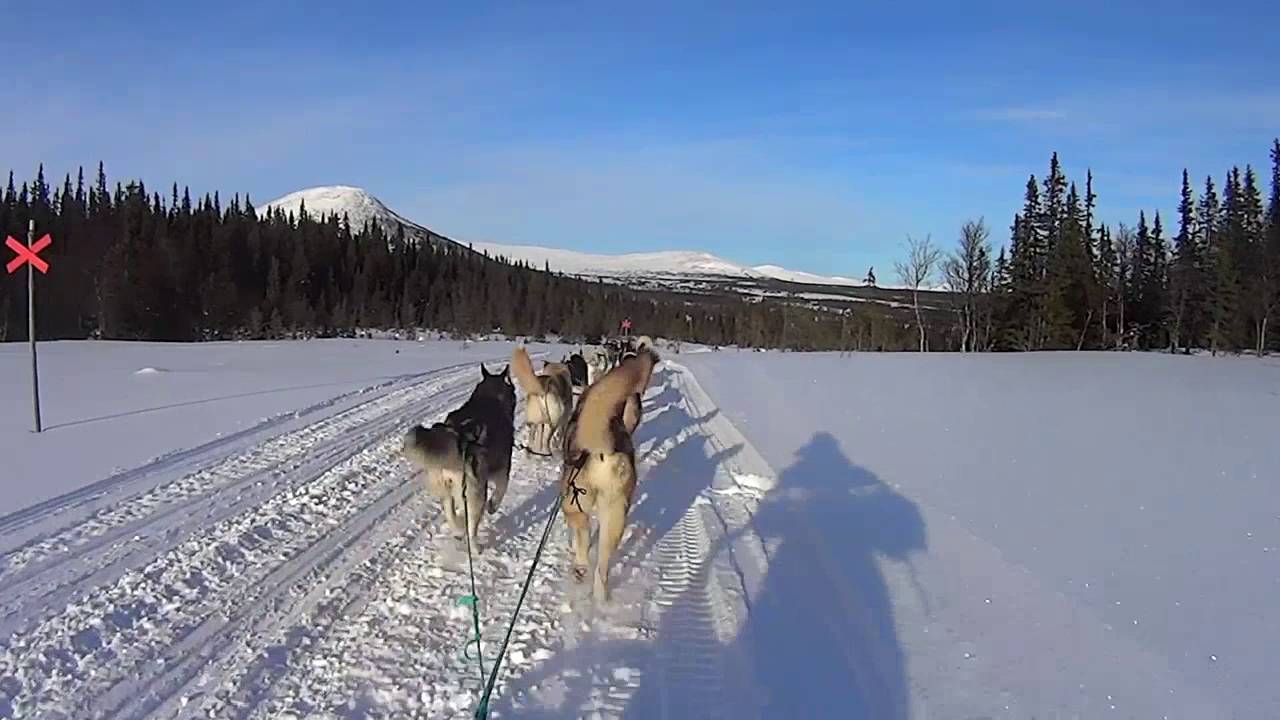 HuskyPark