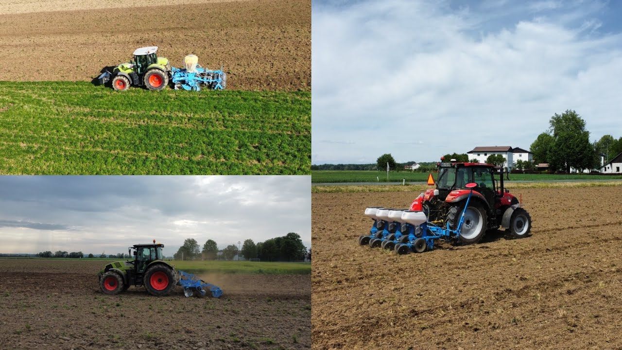 Setev Koruze 2024 🌽🤠/Claas Arion 650 & Lemken Rubin 12 & Heliodor 9/Monosem NG4 Plus