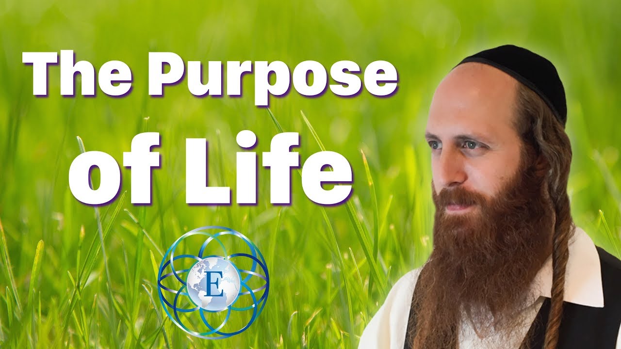 The Purpose of Life | Rav Dror