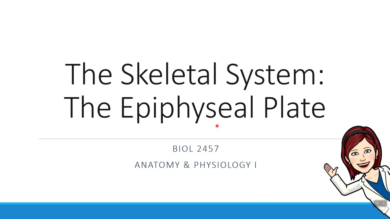 Chapter 6 - The Epiphyseal Plate