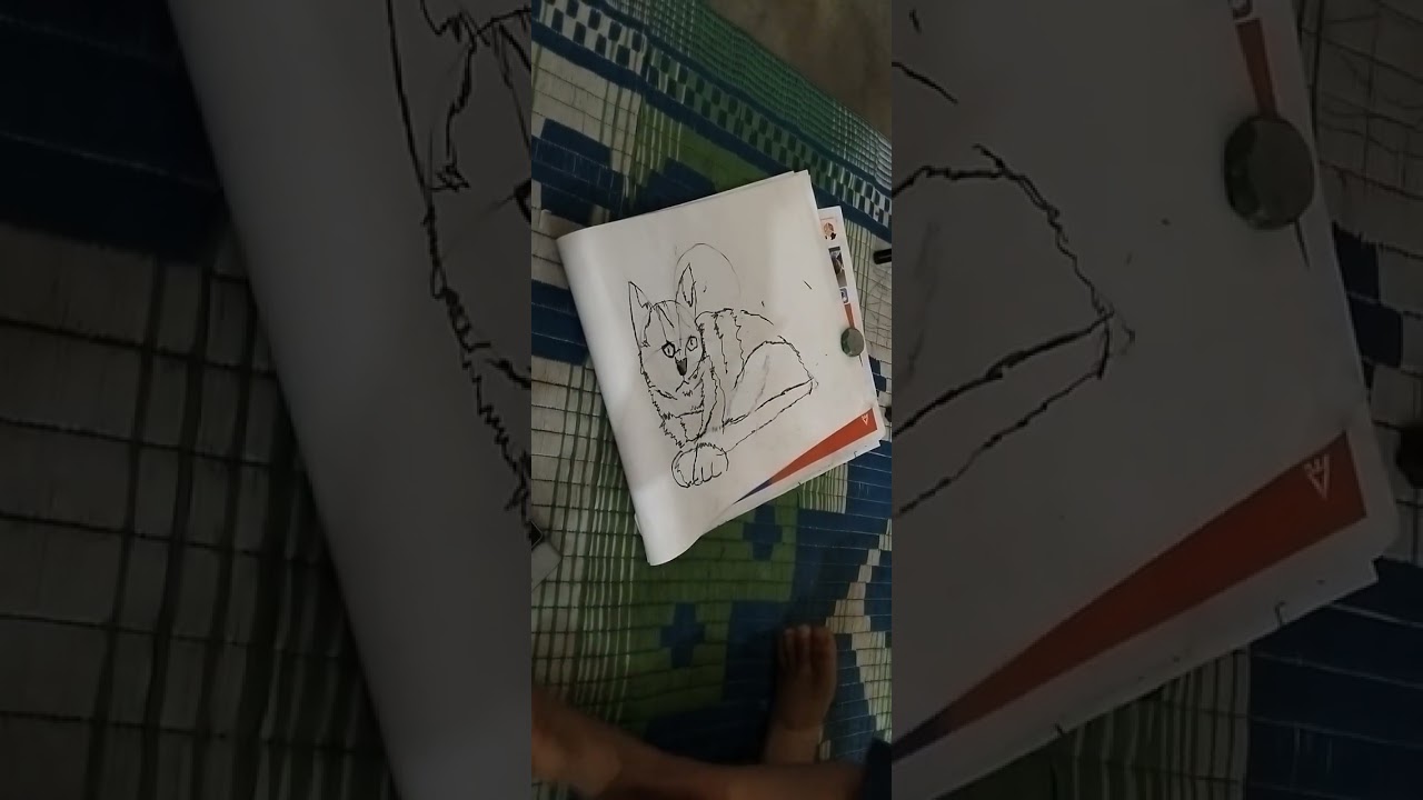 Cat Drawing l Zyan Fardeen ll