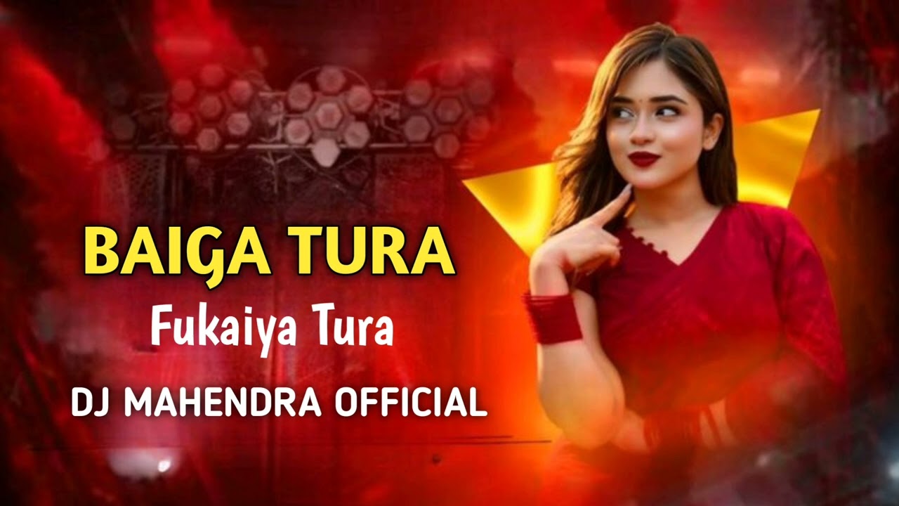 Baiga Tura Dj Mahendra Mandla 