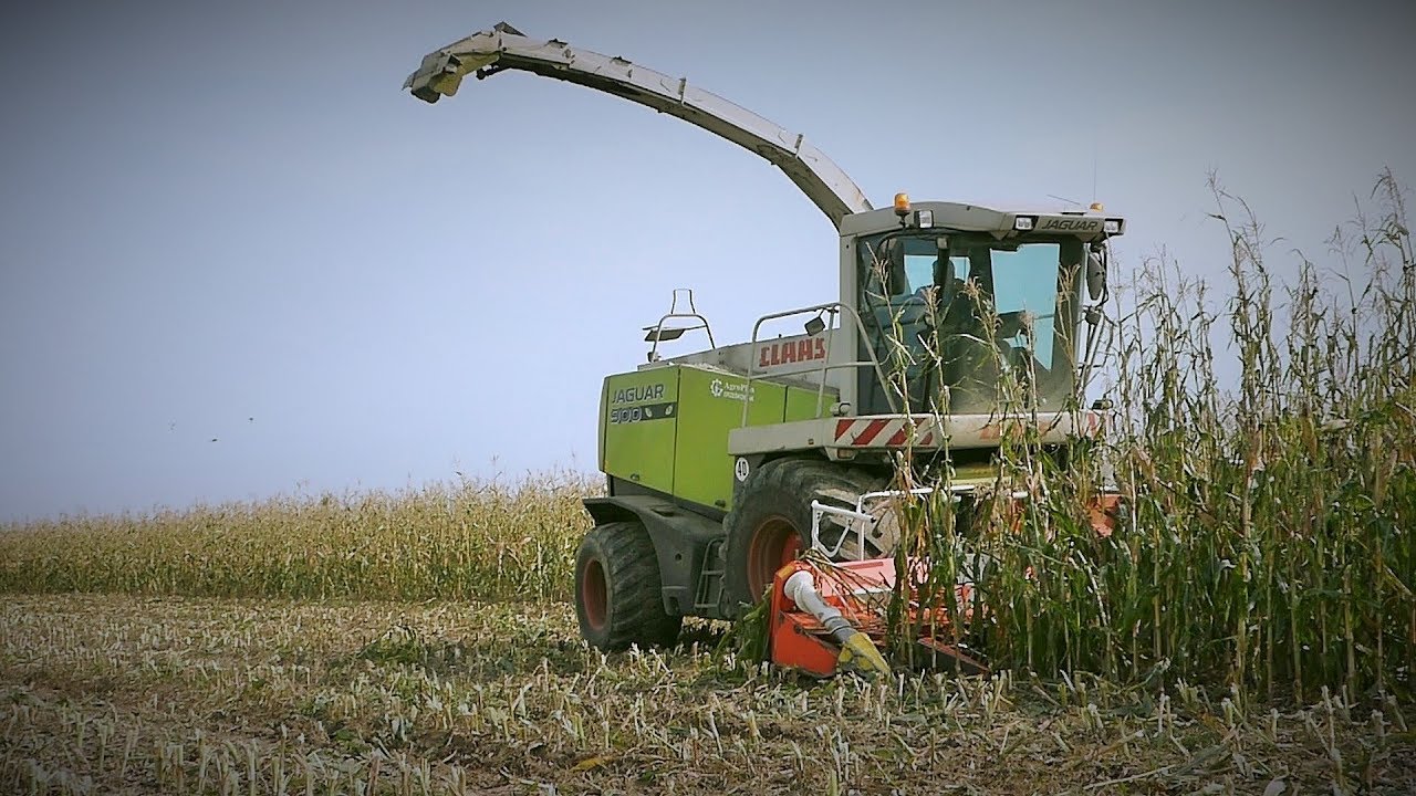 Kukurydza 2017 ☆ 5x John Deere & Claas ㋡ Ls Albert |HD|