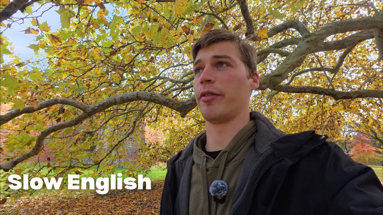 Slow English: книжный квест. Аудирование. Средний уровень.