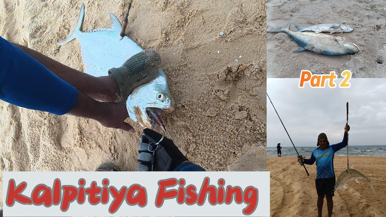 Fishing In Sri Lanka/ Perfect Holiday/ 4.13lbs Indian Threadfish & 11.14lbs Queen Fish /Part 2