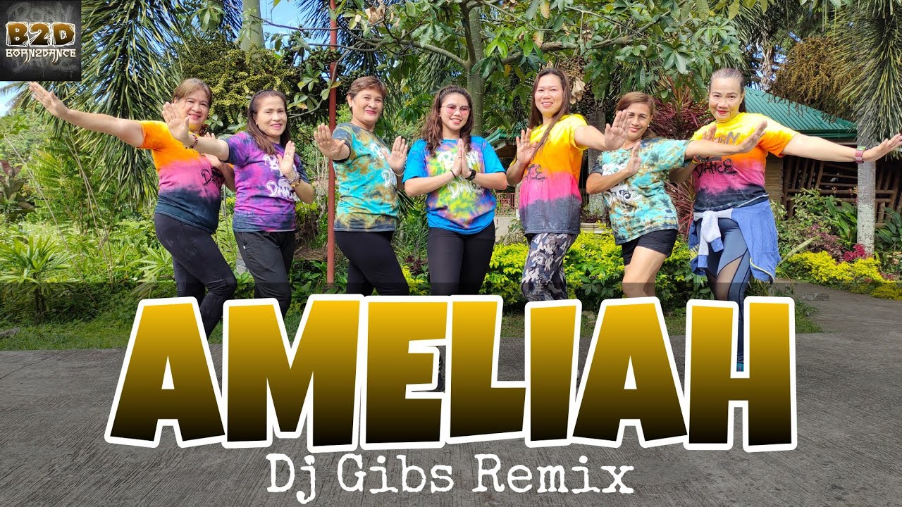 DJ AMELIAH - Dj Gibs Remix l Dance Fitness l Zumba l Njay Choreography I BORN 2 DANCE