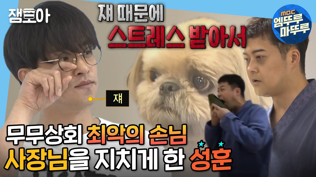 [나 혼자 산다] 무무상회를 찾은 물욕 없는 손님,,🧔🏻 대신 식욕은 왕성한 성훈이 고른 물건은? | #전현무 #성훈 #나혼자산다 MBC211001방송