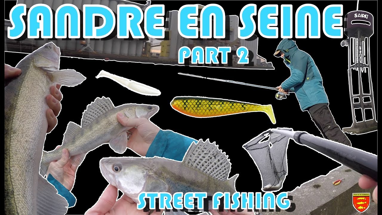SANDRE en STREET FISHING :  La Seine, la Seine, la Seine.....(Part 2)
