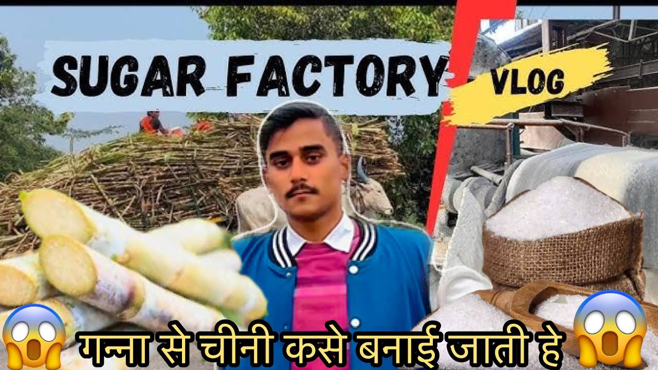 Sugar factory vlog | चीनी कैसे बनाई जाती है ?😱| गन्ना | How to make sugar | चीनी मिल | सक्कर vlog