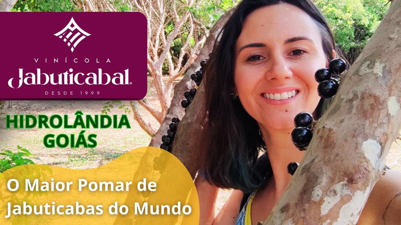 Esta é a Vinícola da FAZENDA JABUTICABAL em Goiás