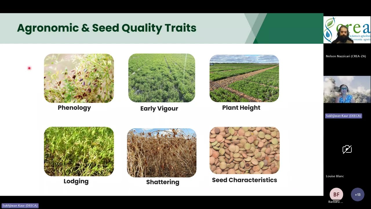 From less than 1K to 1 5M tonnes The Rise of the Australian Lentil Industry, with dr. Sukhjiwan Kaur