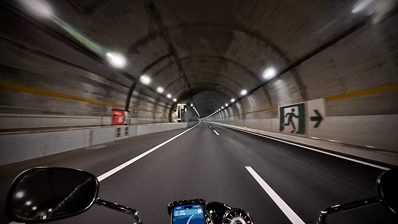 W800 河津桜 伊豆スカ -2-