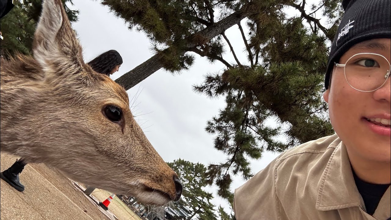 NARA PARK?