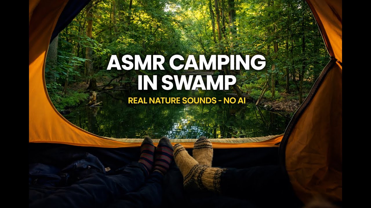 ASMR Camping⛺ in the Swamp Real Nature Sounds🌲| No Talking, No AI