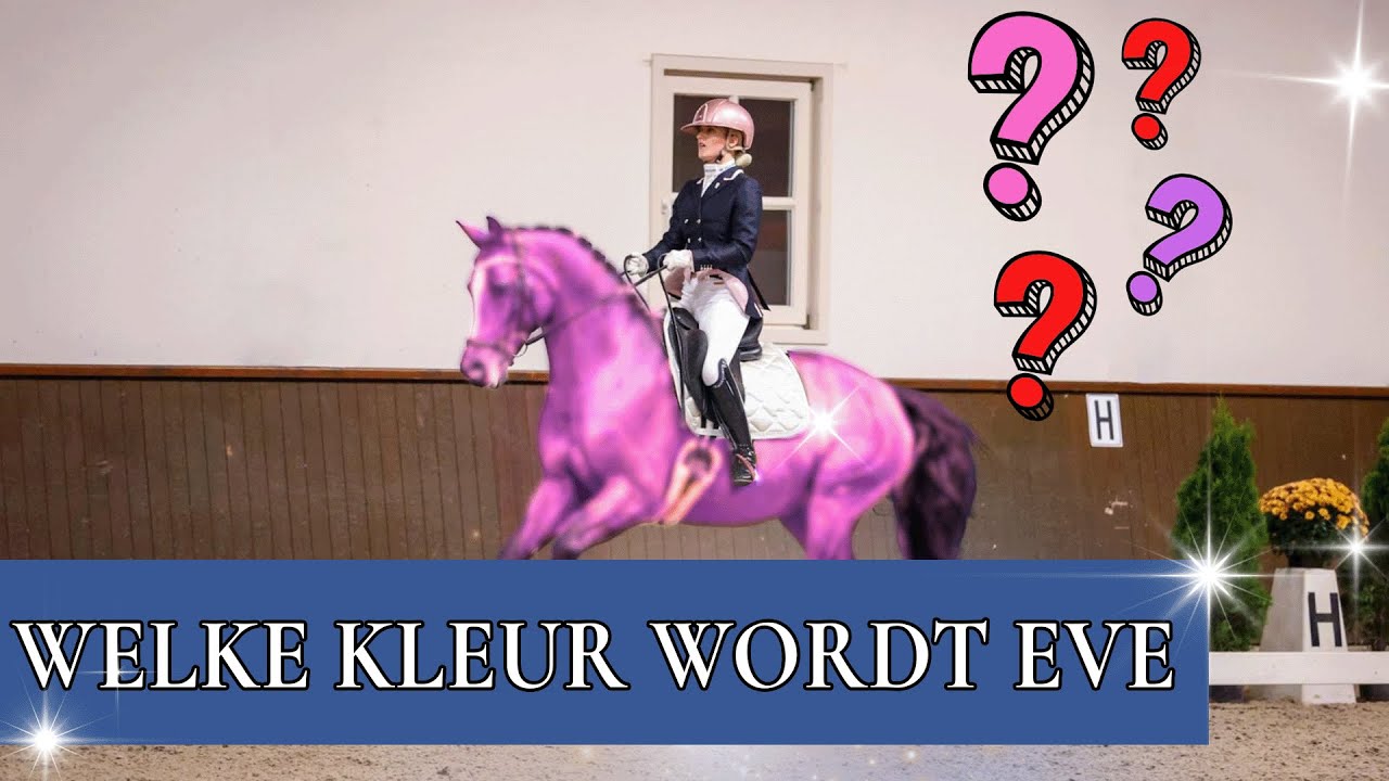 Eve krijgt een nieuwe kleur?! | PaardenpraatTV