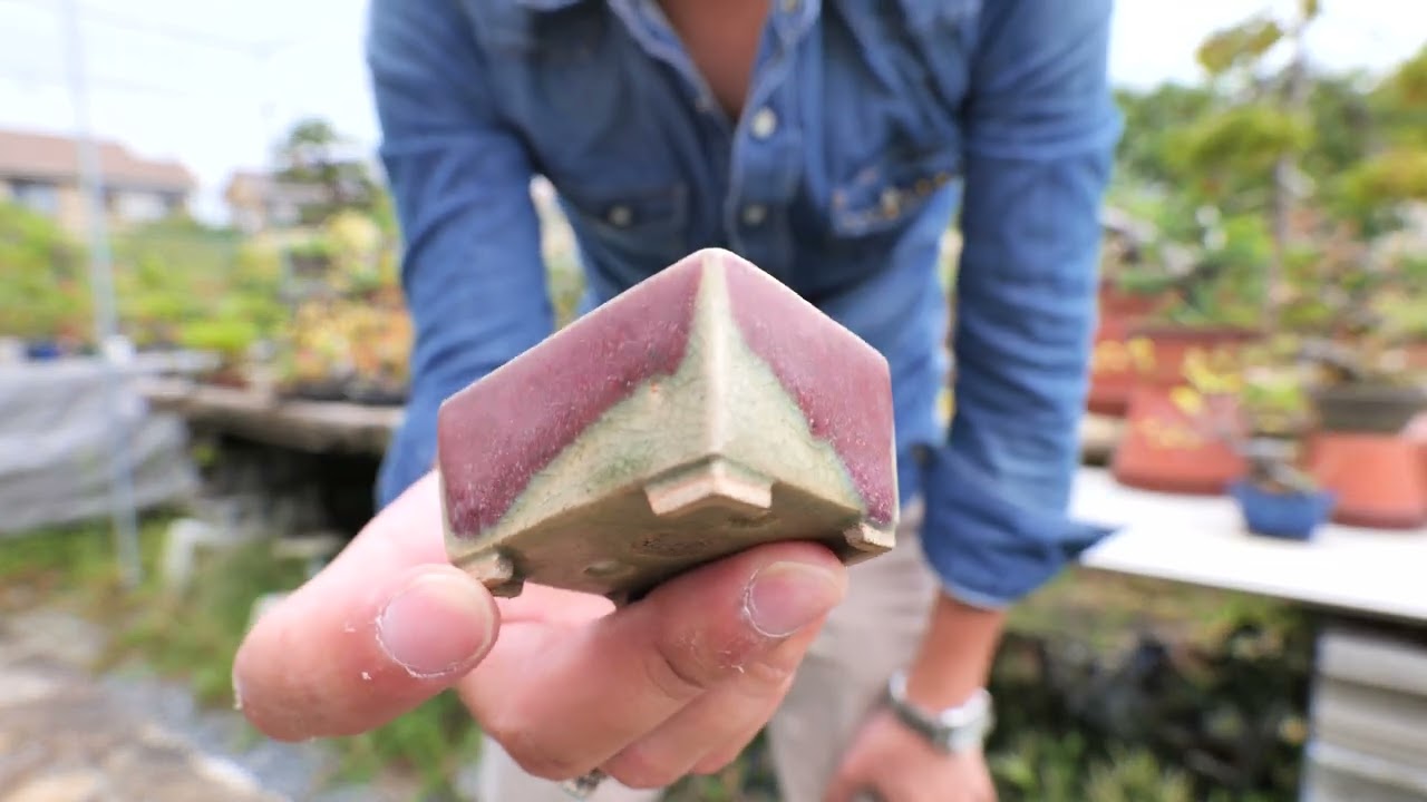 盆栽鉢紹介 無名鉢 作り込まれた逸品
