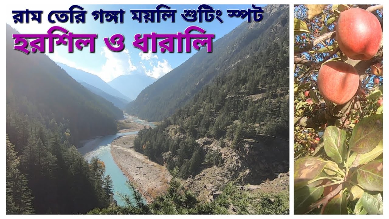 হরশিল | ধারালি | Harsil | Harsil Apple Garden | Harsil Gangotri | Dharali | Dharali Harsil | Day 6